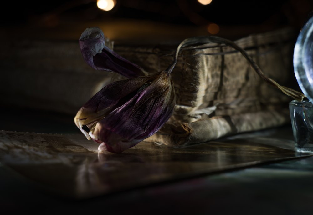 Photograph by Алиса Пономарева