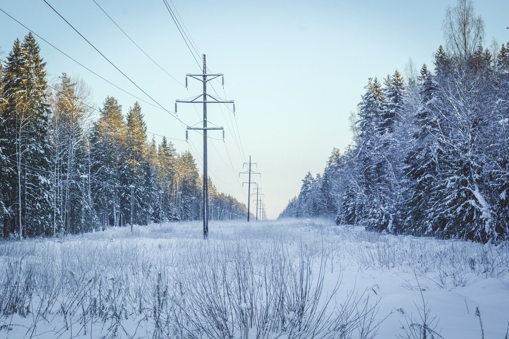 Photograph by Liguanna Anna