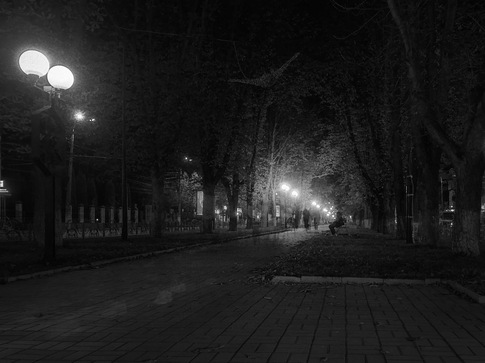 Photograph by DzjuSan