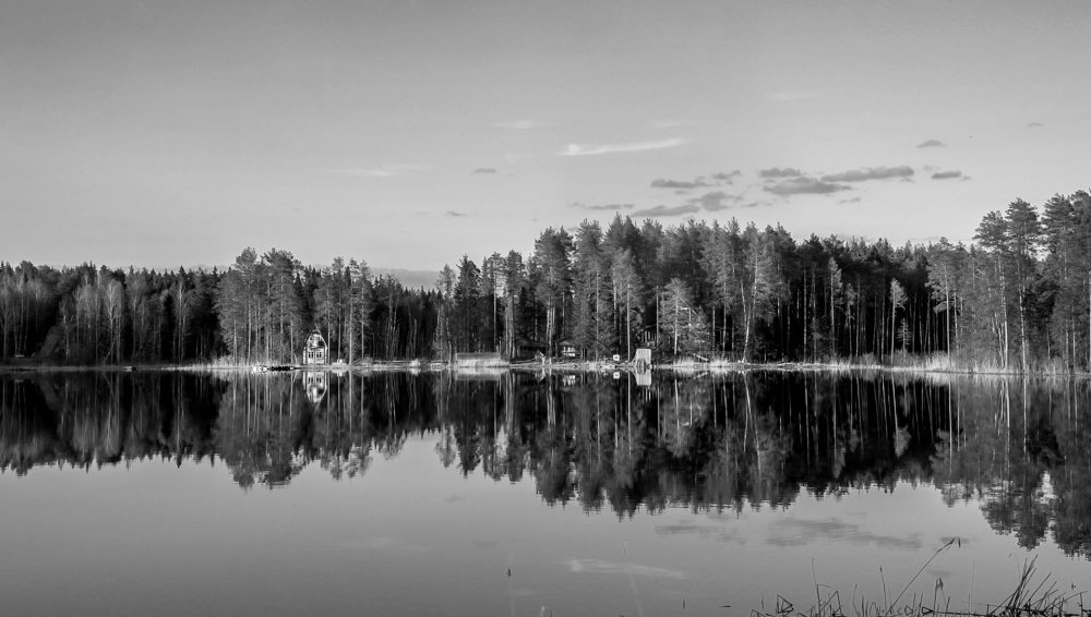 Photograph by Ольга Ситникова