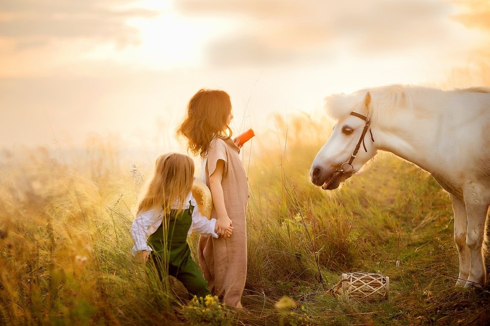 Фотография автора Татьяна Иванова