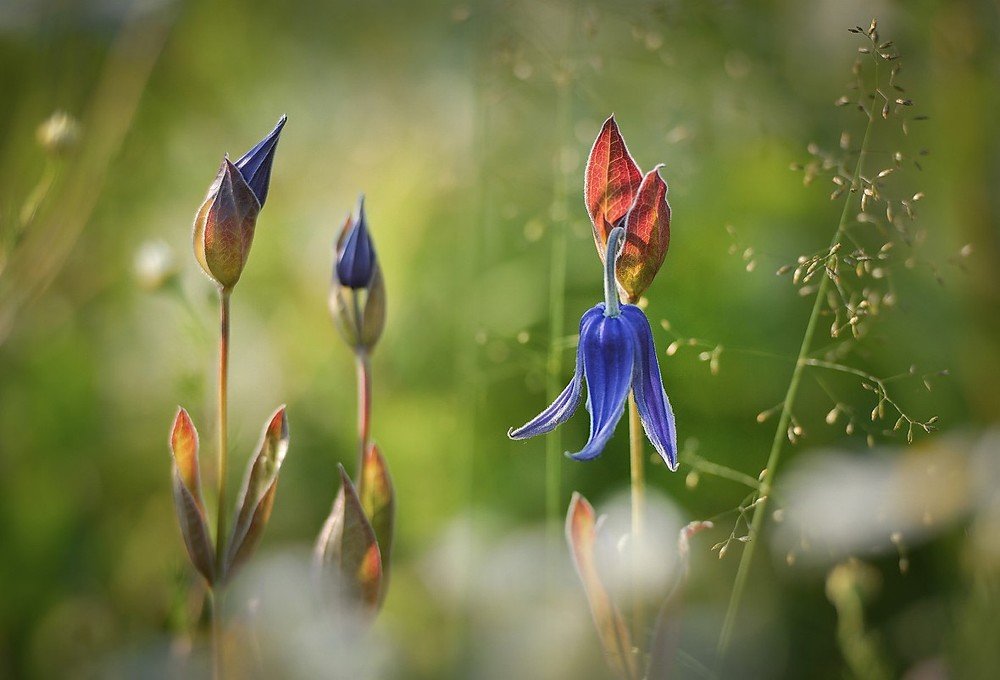 Photograph by Михаил Щеглов