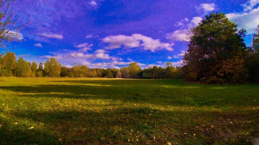 Photograph by Наталья Микулич