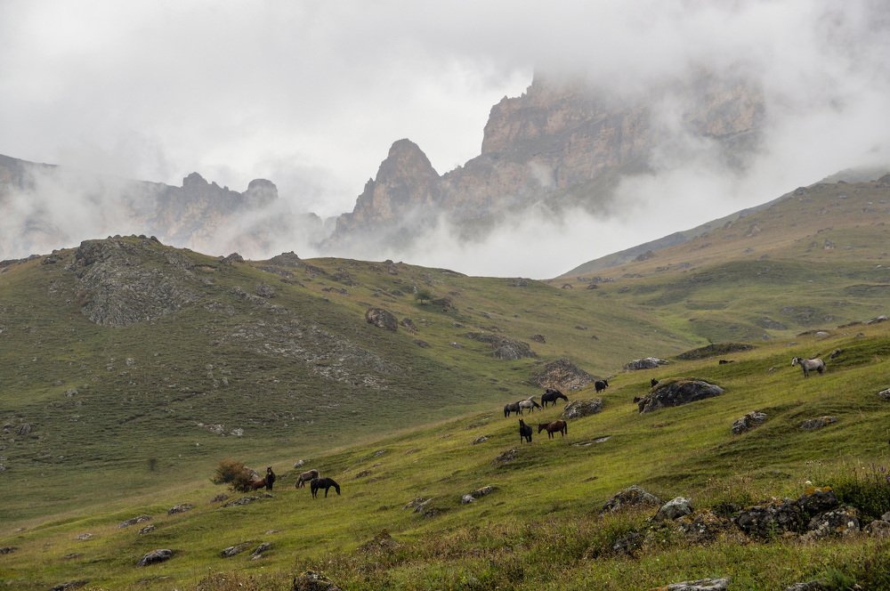 Photograph by Виктор Петров