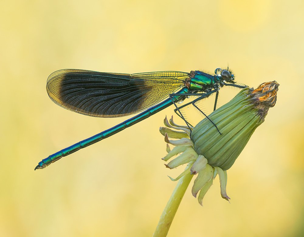 Photograph by Pawel Plucinski