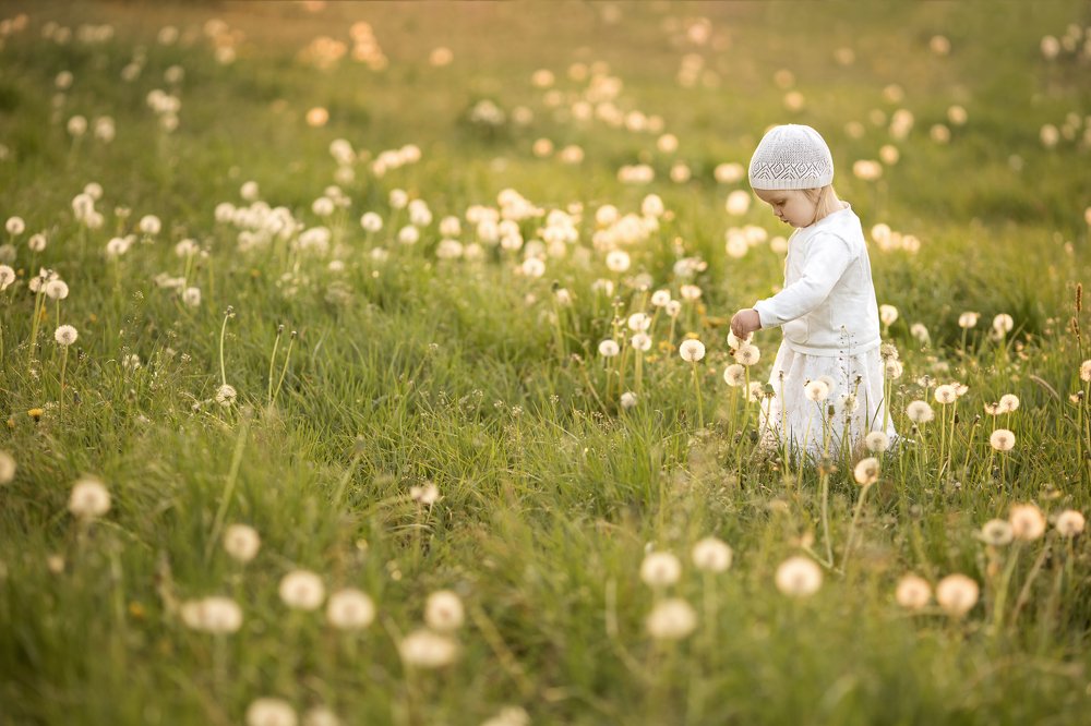 Photograph by Любовь Силантева
