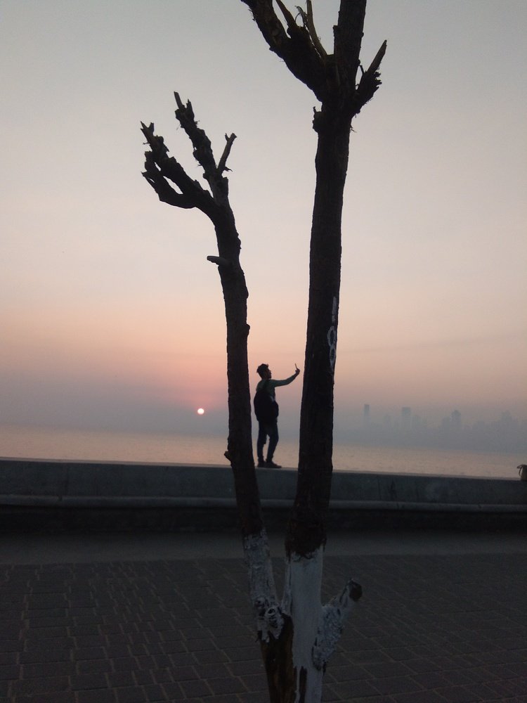 Photo #4416560