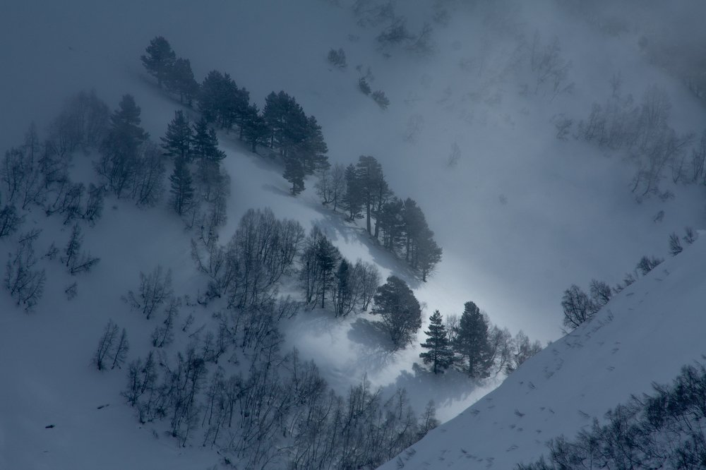 Photograph by Александр Арасланов