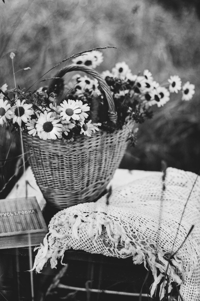 Photograph by Валентина Нисифорова