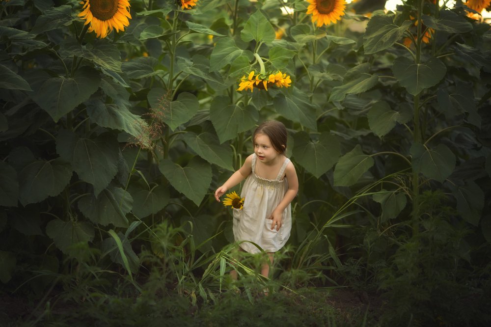 Фотография автора Dora Oksana