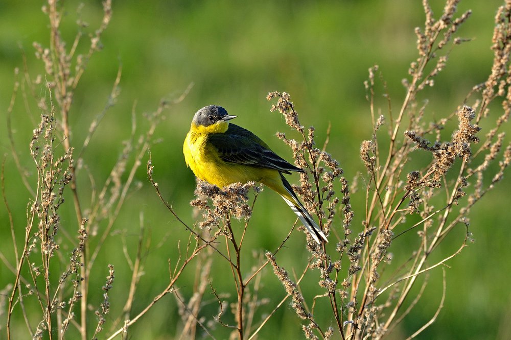 Photograph by Александр Калегин
