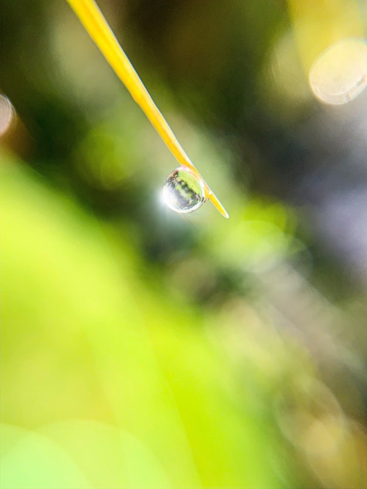 Photograph by Sandhi Sarda