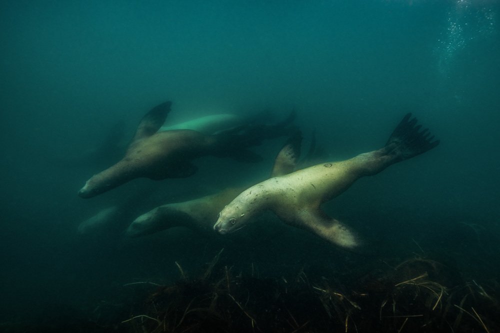 Photograph by Андрей Балта