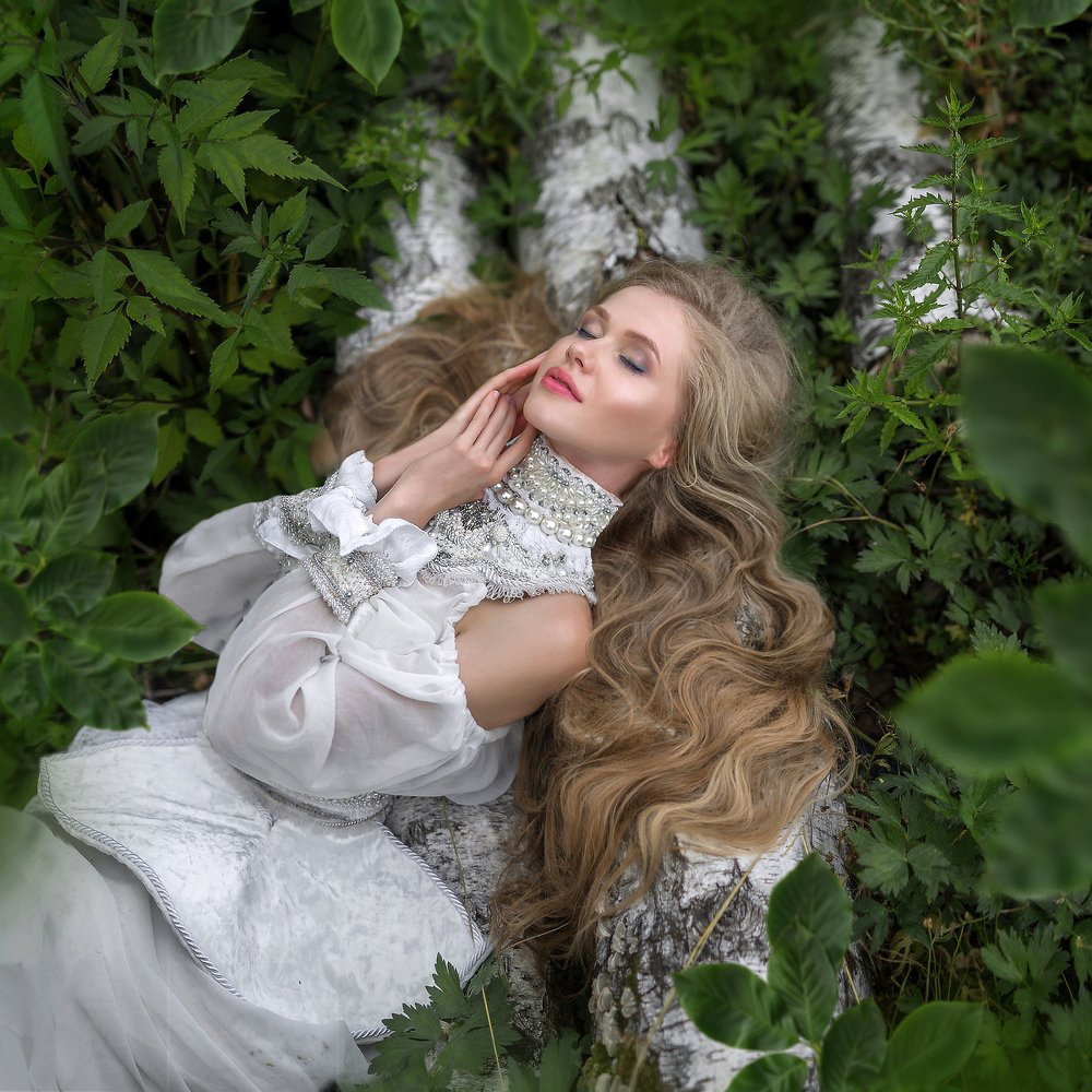 в краю Василис