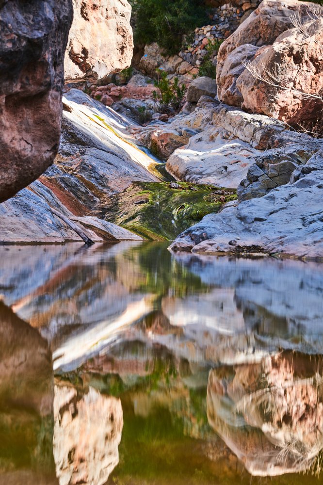 Photograph by Алексей Петров