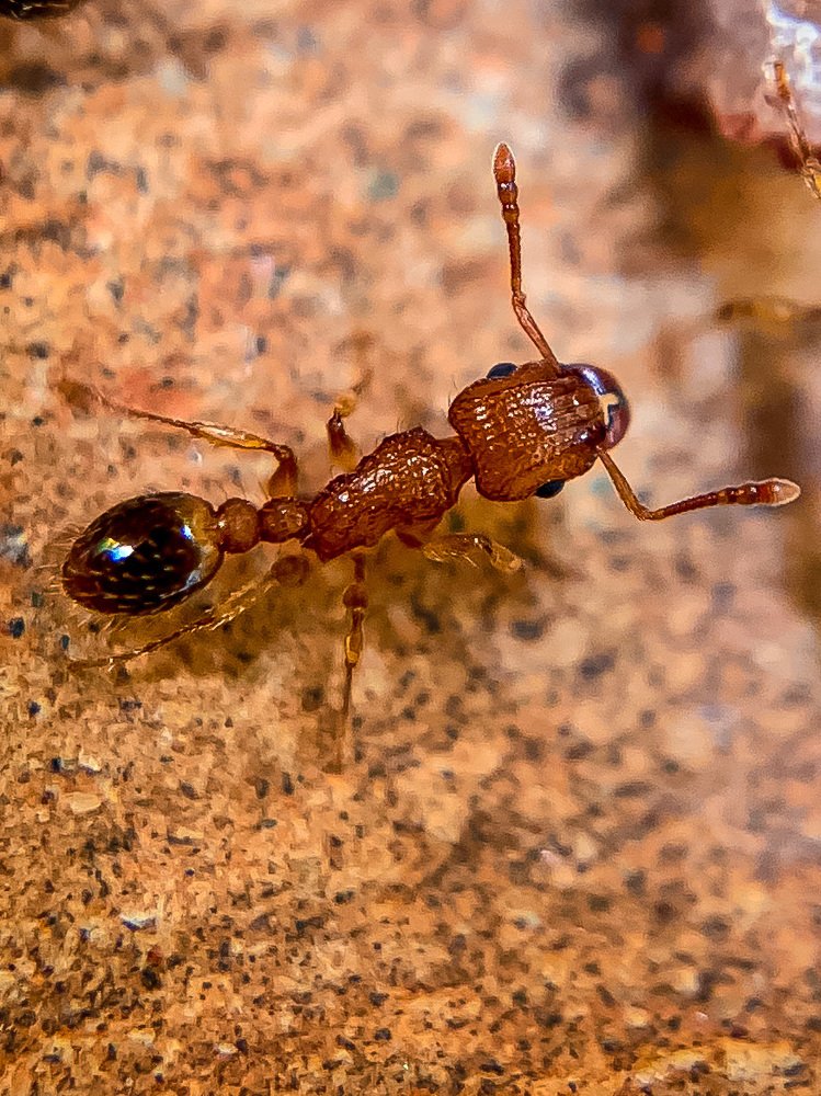 Photograph by Sandhi Sarda