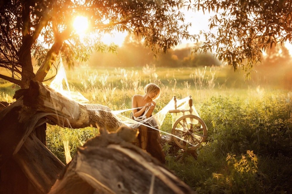 паутина судьбы