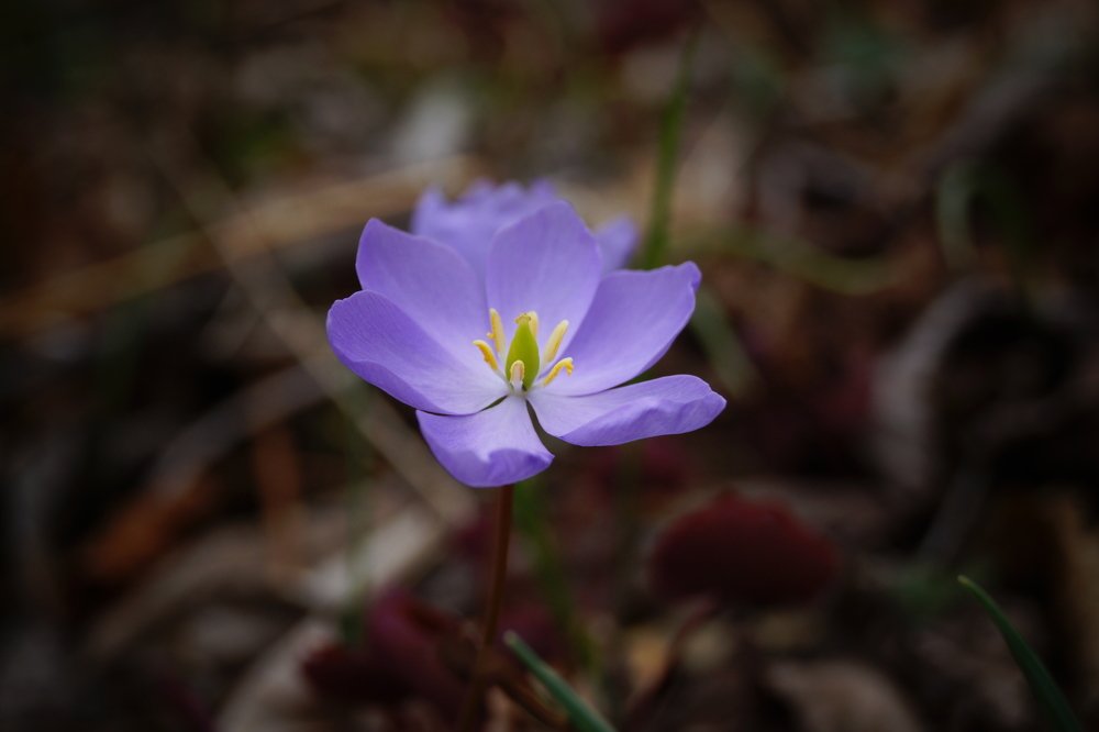 Photograph by Владимир Суходолов