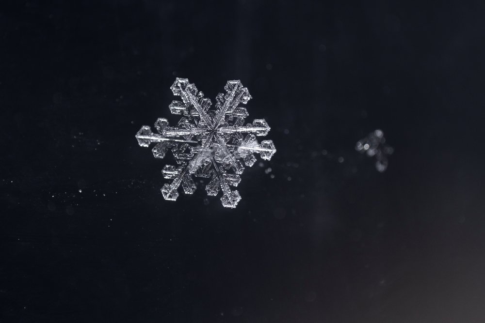 Photograph by Андрей Уколов