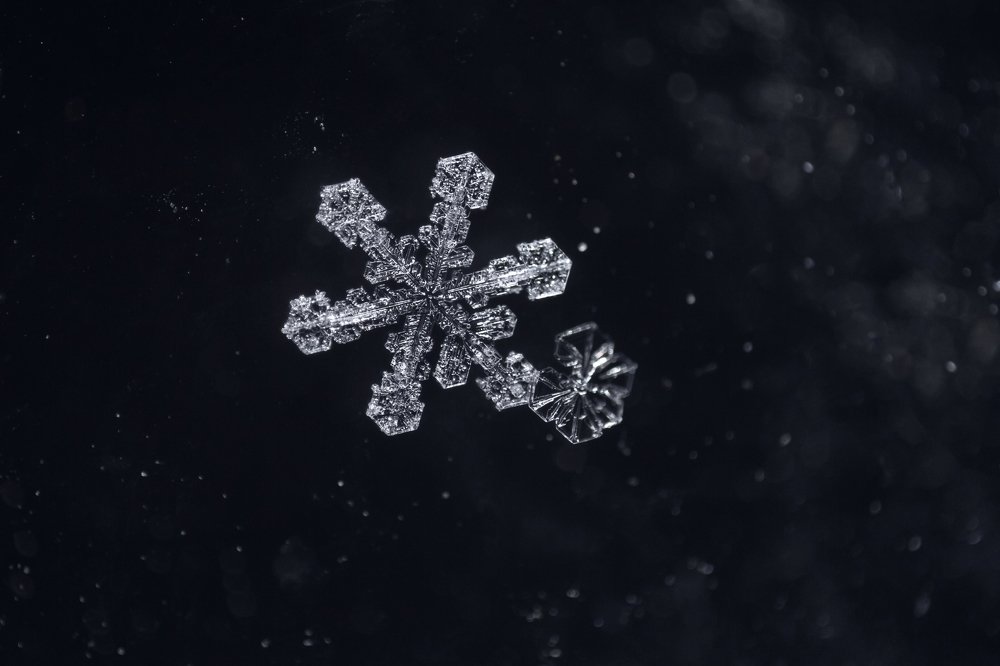 Photograph by Андрей Уколов