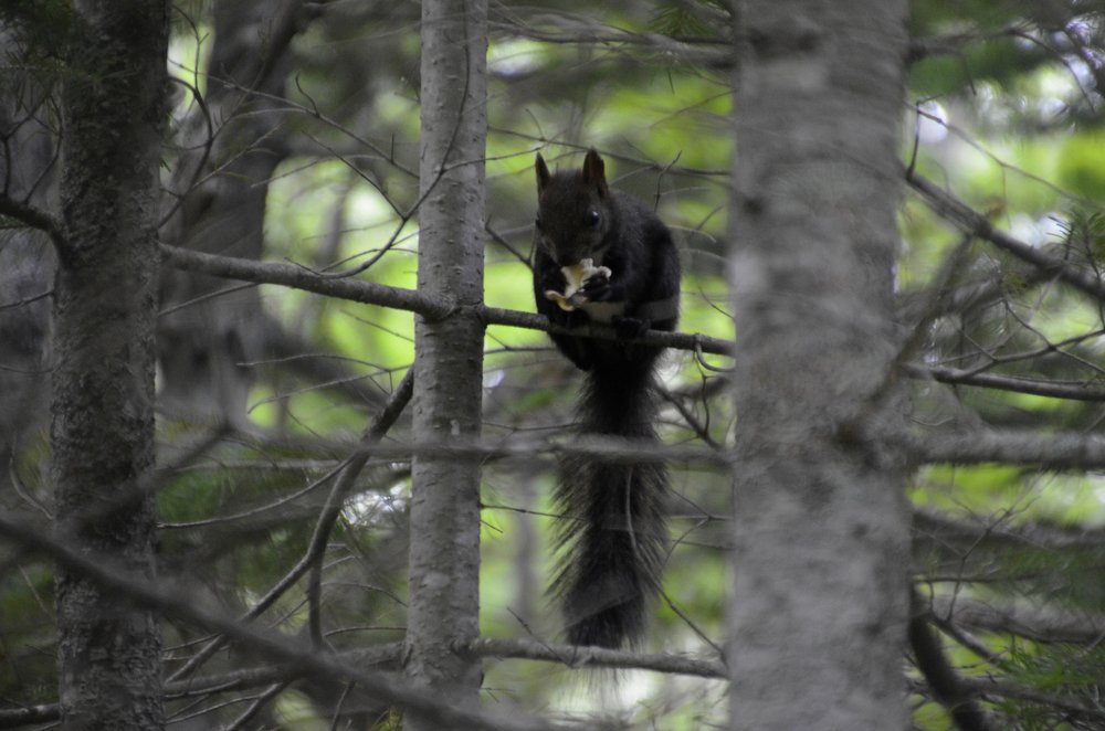 Приятного аппетита!
