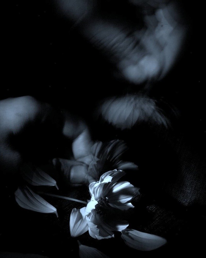 Photograph by Анна Савостьянова