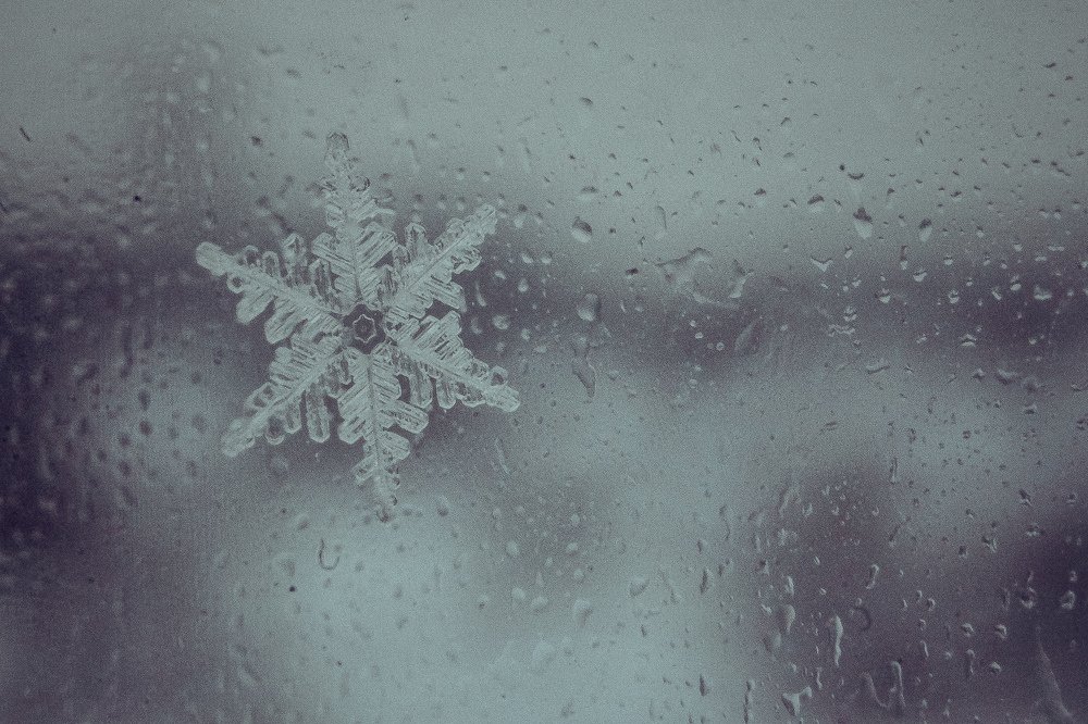 Photograph by Мария Чунаева