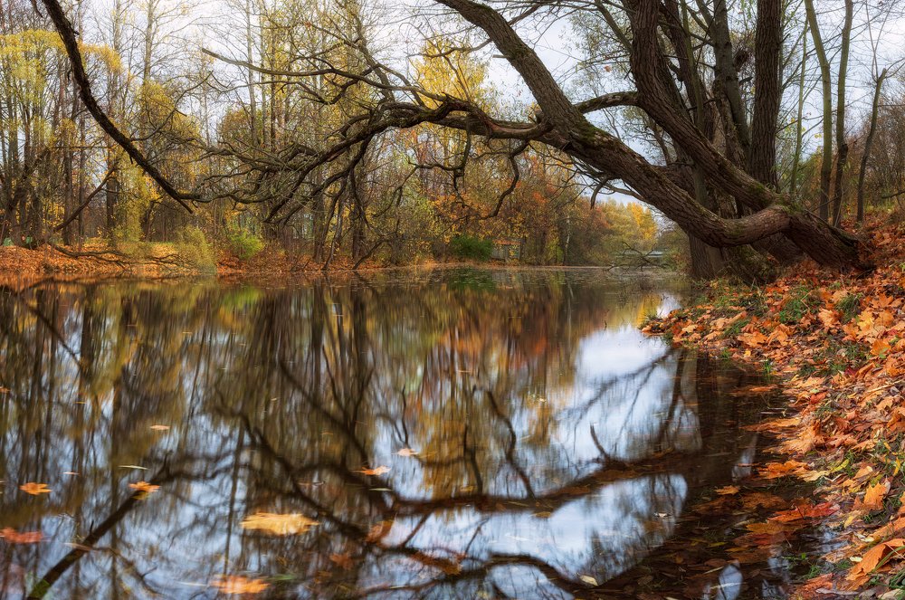 Отражения осени