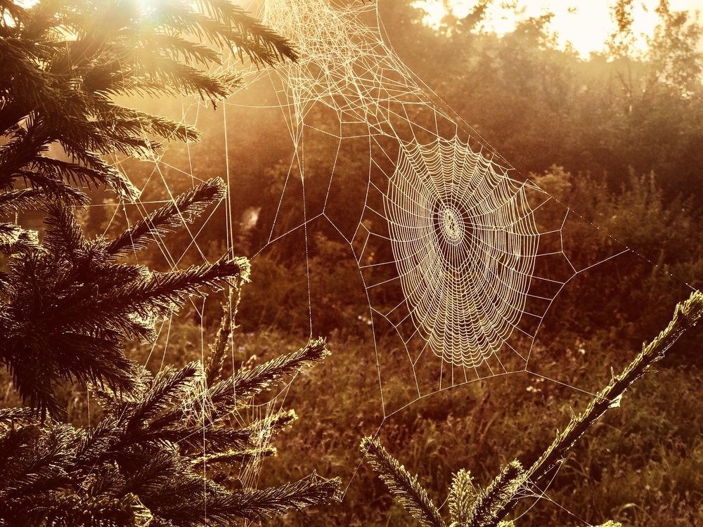 Photograph by Ирина Иванова