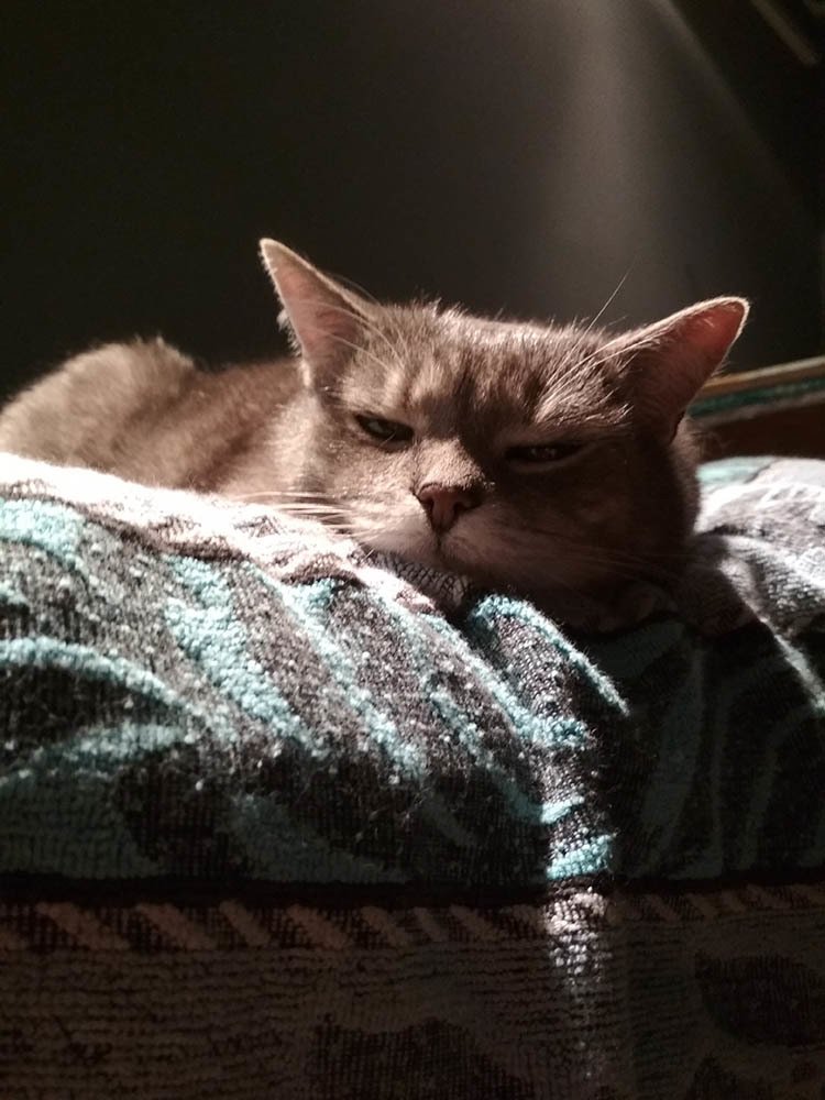 Photograph by Ксения