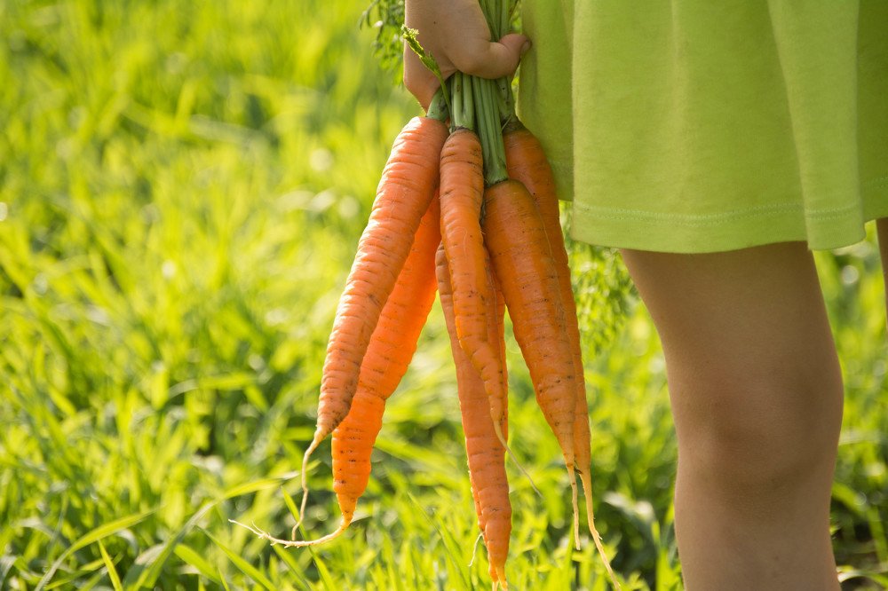 Photograph by Надежда Кузьмина