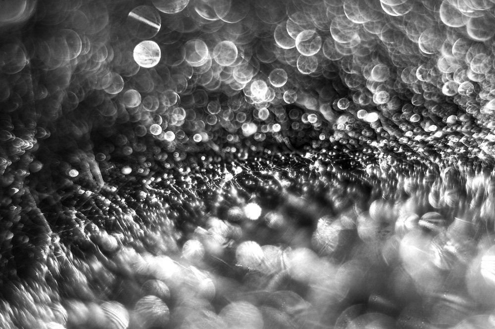 Горизонт событий