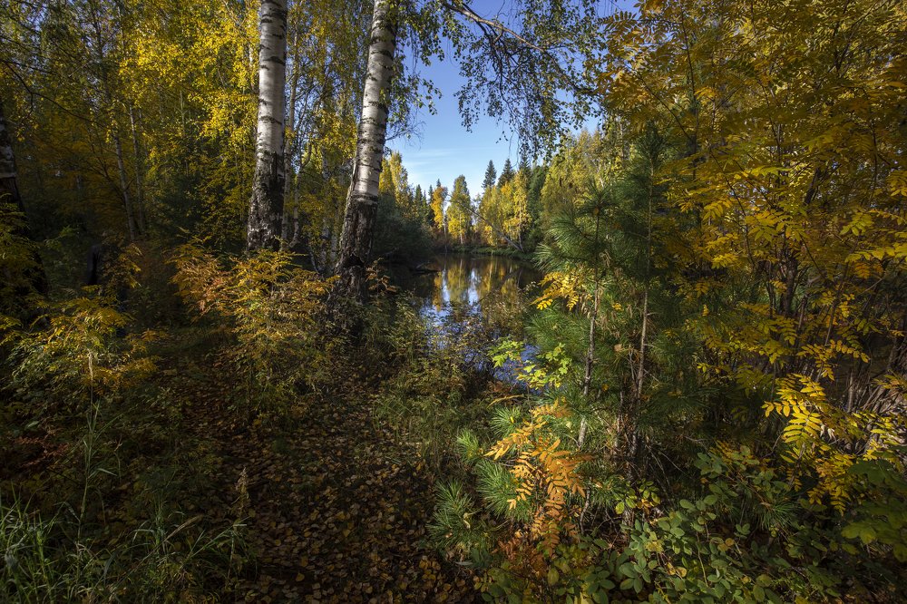 Photograph by Татьяна Борисова