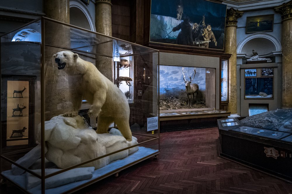 Истории освоения Арктики и Антарктики