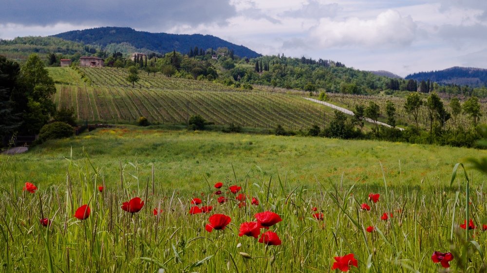 Photograph by Анна Рябцева