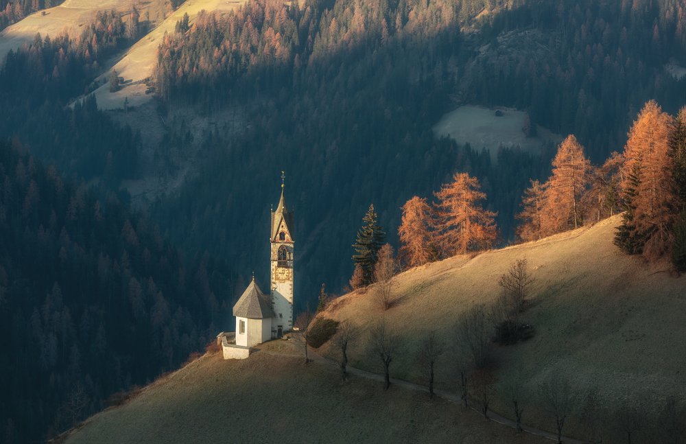 Photograph by Василий Гори