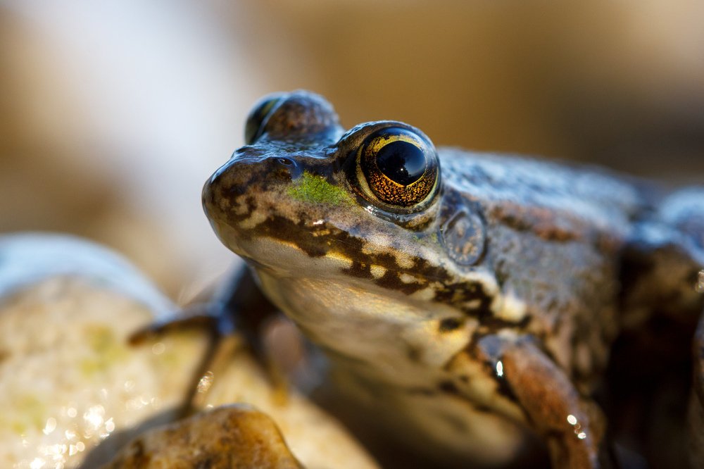 Photograph by Efremenko Nikita