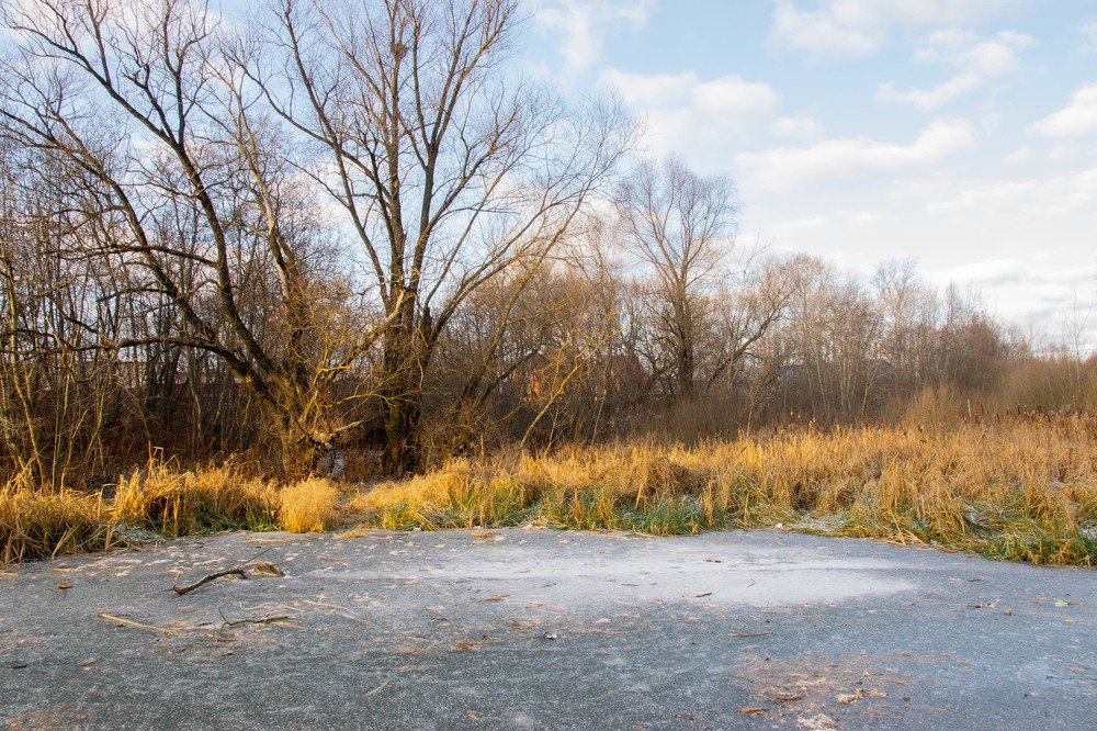 Photograph by Дарья Маничева