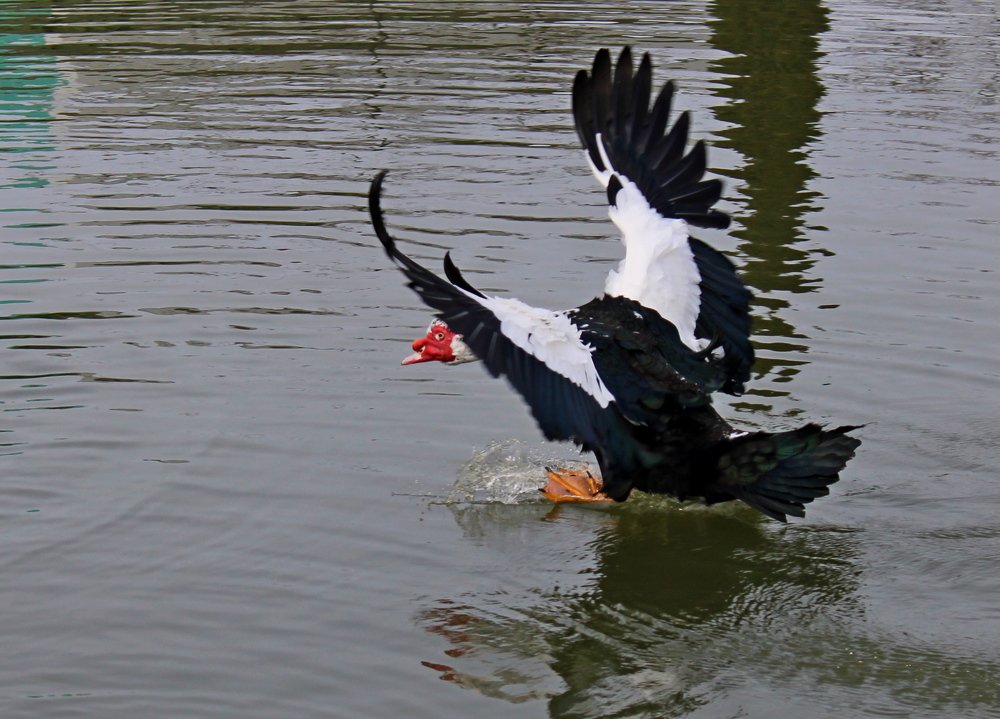 Photograph by Николай Немчанинов