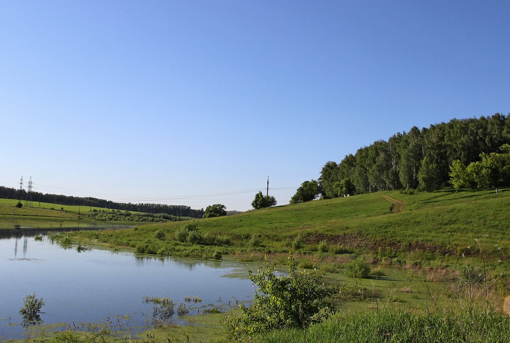 зеленый май