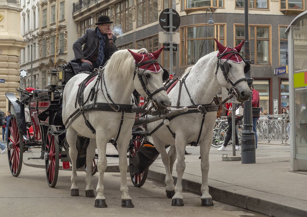 Photograph by Светлана Мельник