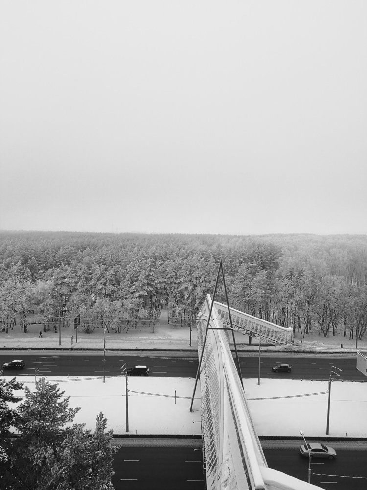 Photo #4417366