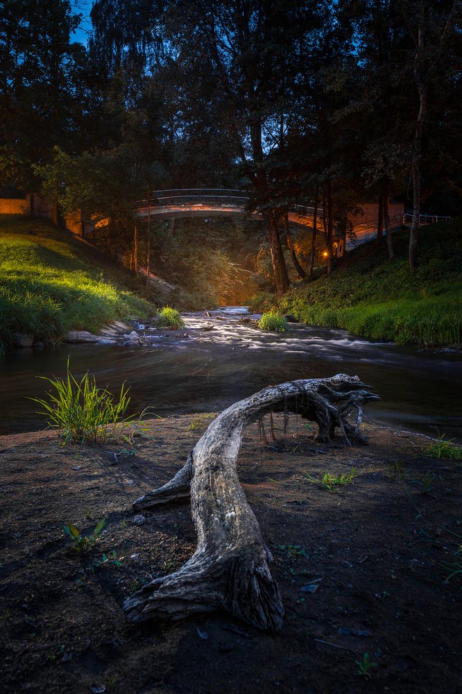 Photograph by Ignas Lazauskas