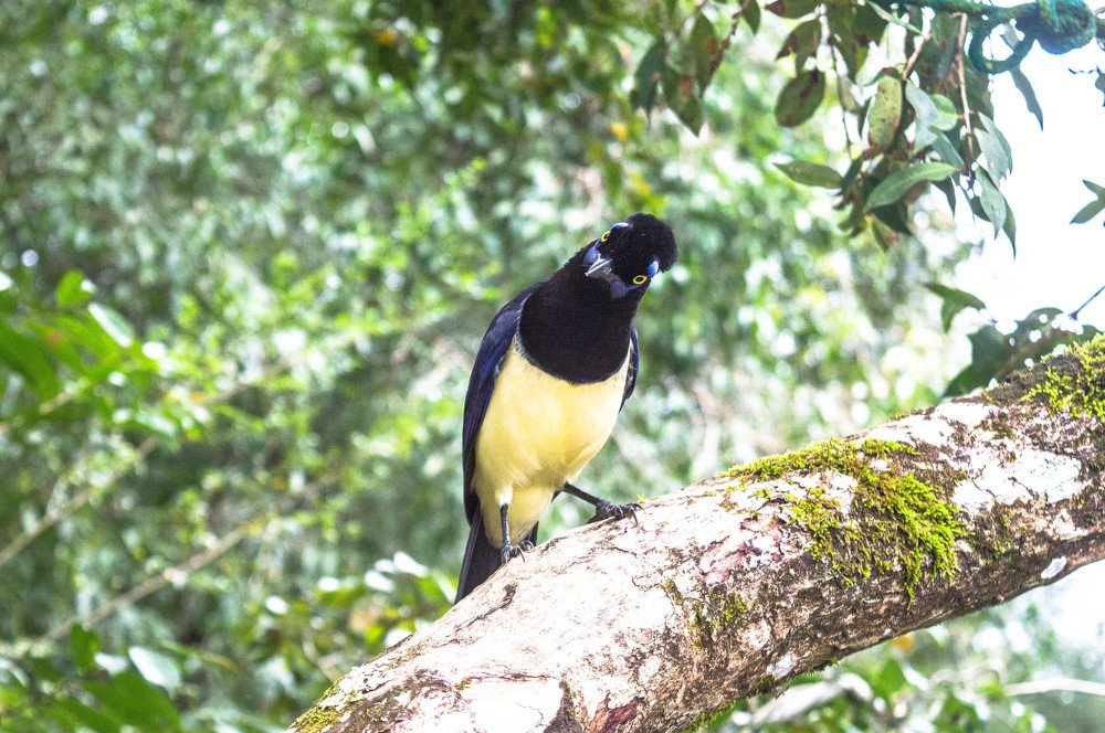 Photograph by Hernán Piscitelli