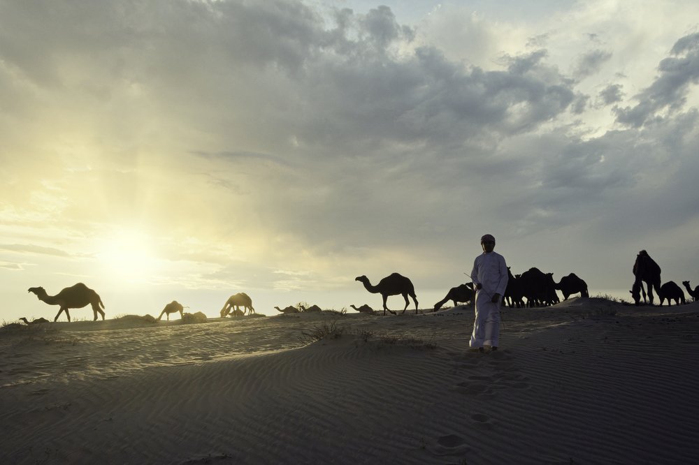 Photograph by Nahi Ali