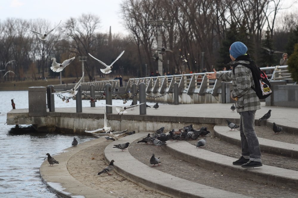 Photograph by Наталья Комарова