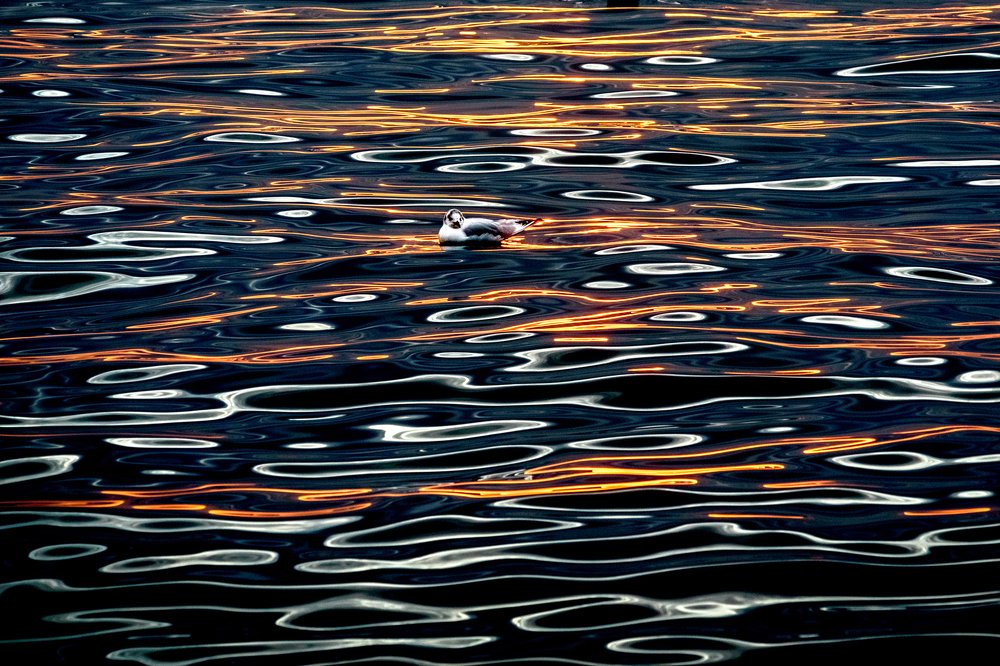 Photograph by Вадим Зюзин