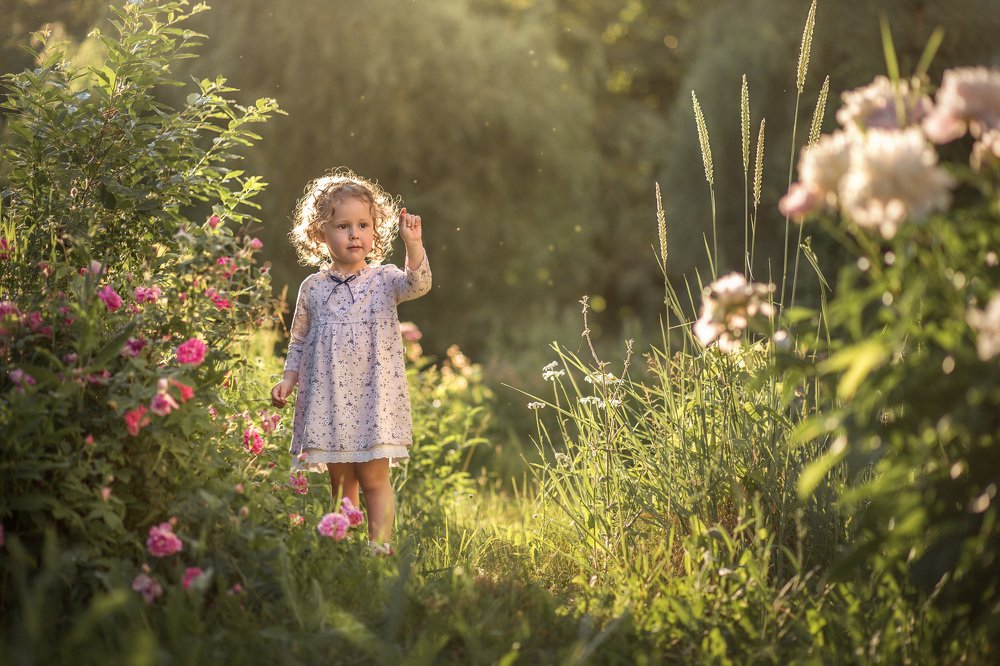 Photograph by Ольга Коданева