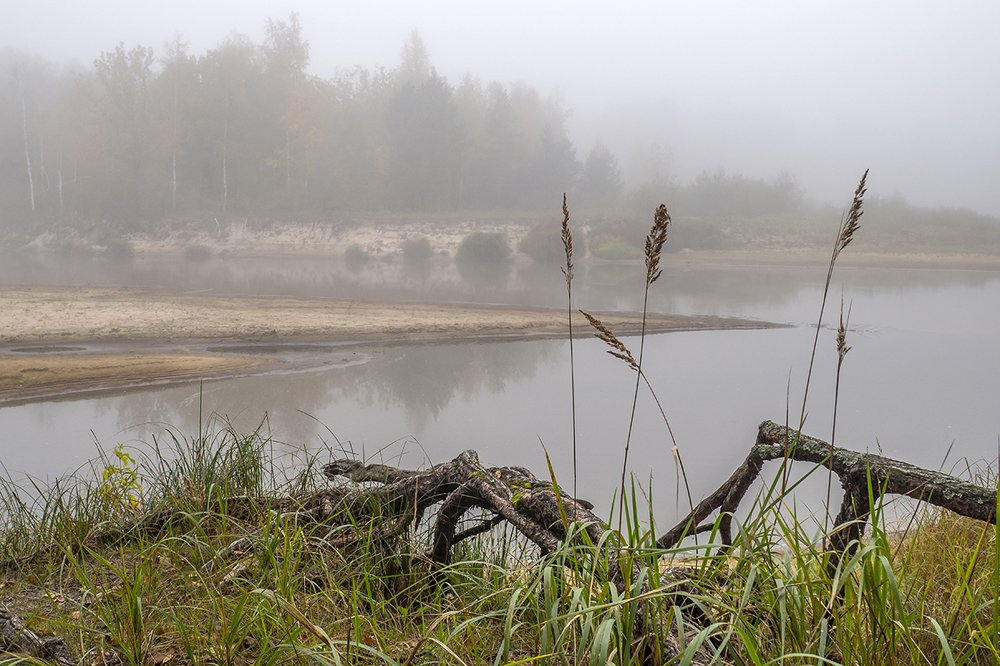 Photograph by Елена Бежина