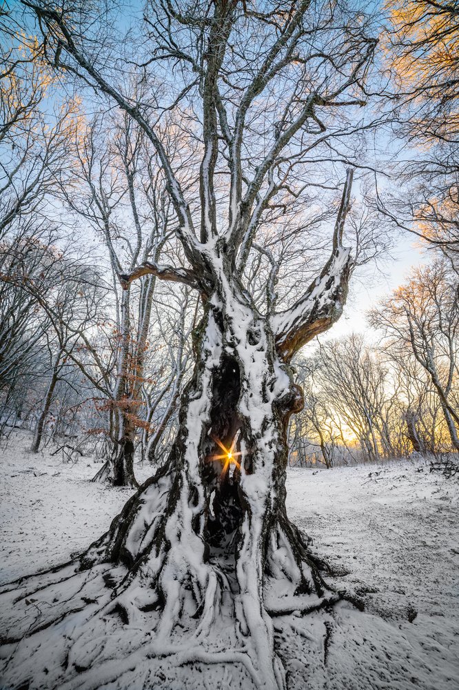 Photograph by Вадим Зюзин